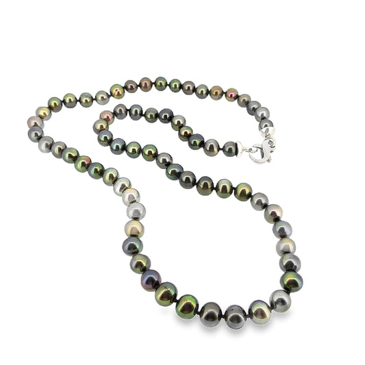 Luminous Black Freshwater Pearl Necklace