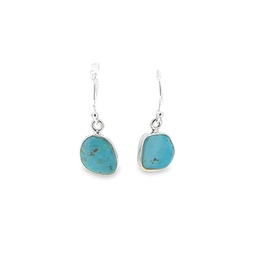 Turquoise Freeform Drop Earrings