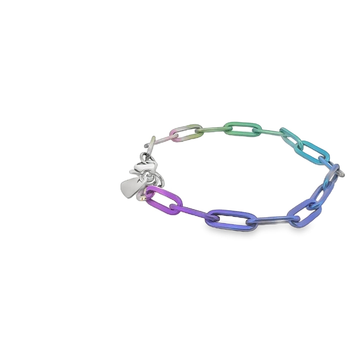 Rainbow Titanium Chain Link Bracelet